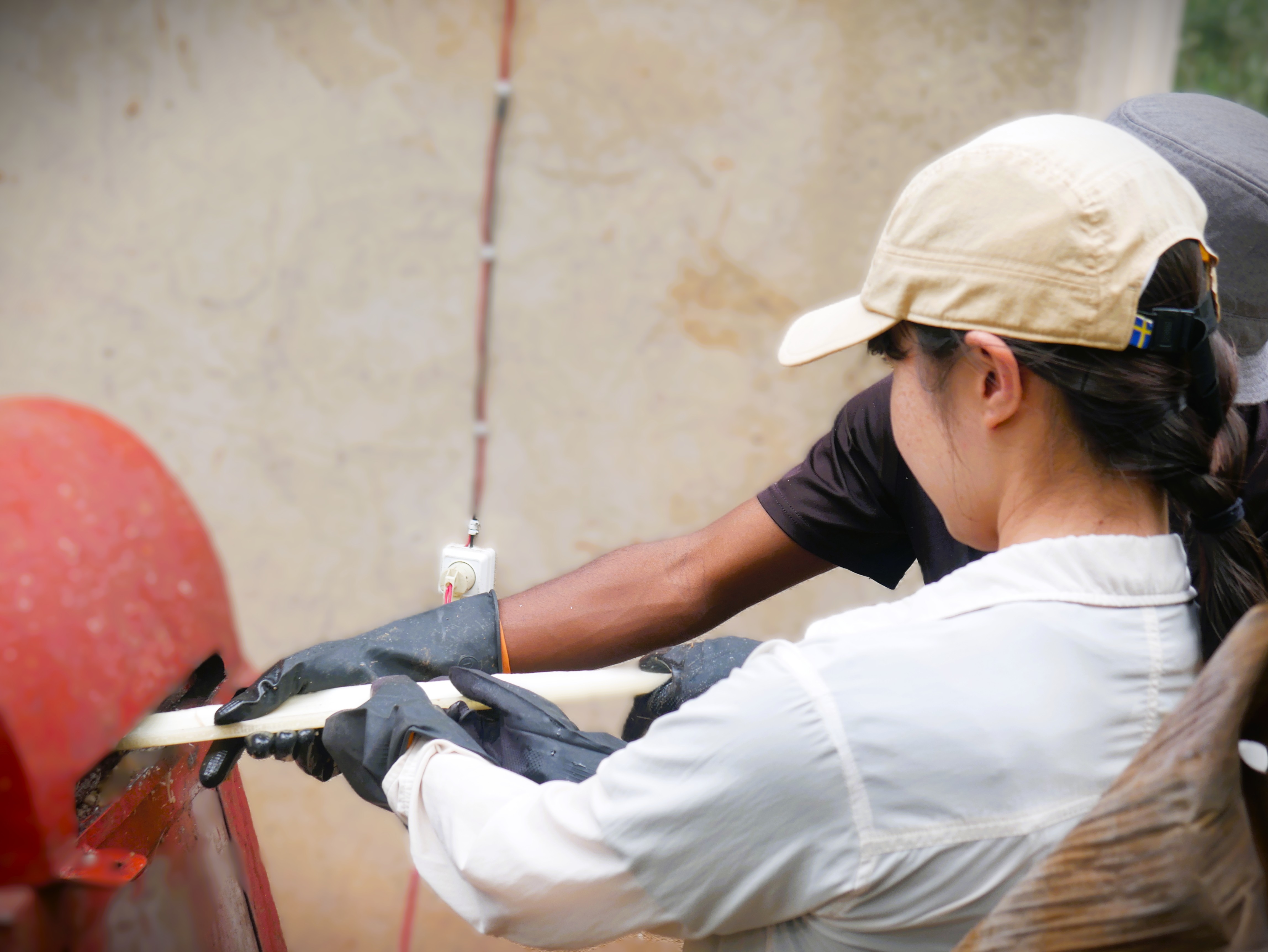 Extracting Fibers